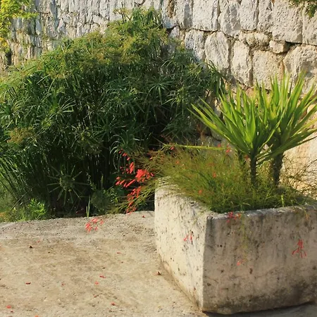 With A Parking Space Brsecine, Dubrovnik - 9098